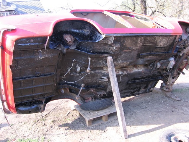 Pilt