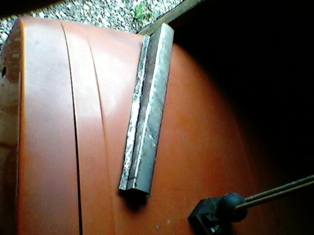 Pilt