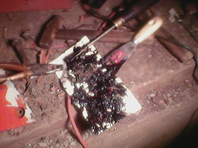 Pilt