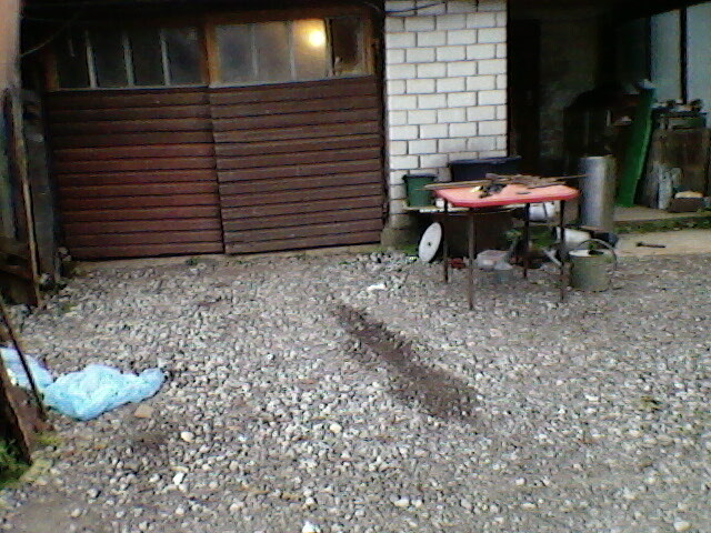 Pilt