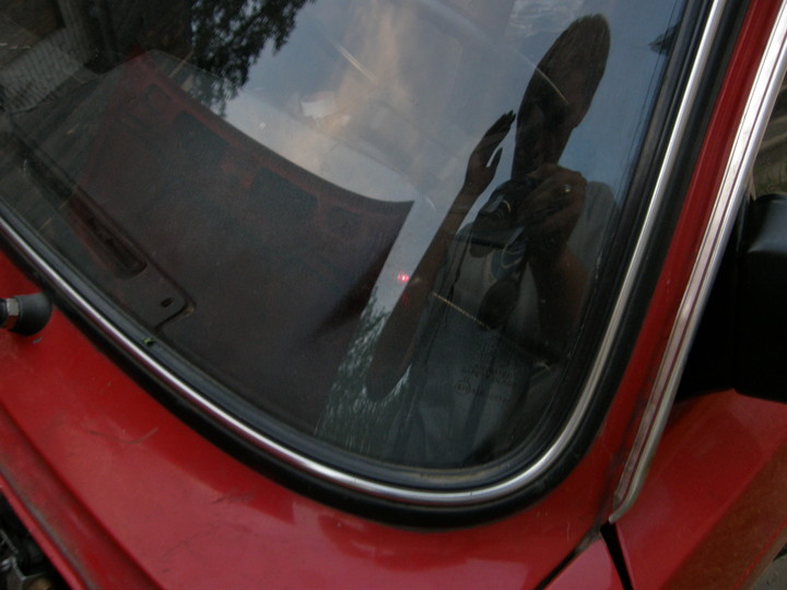 Pilt