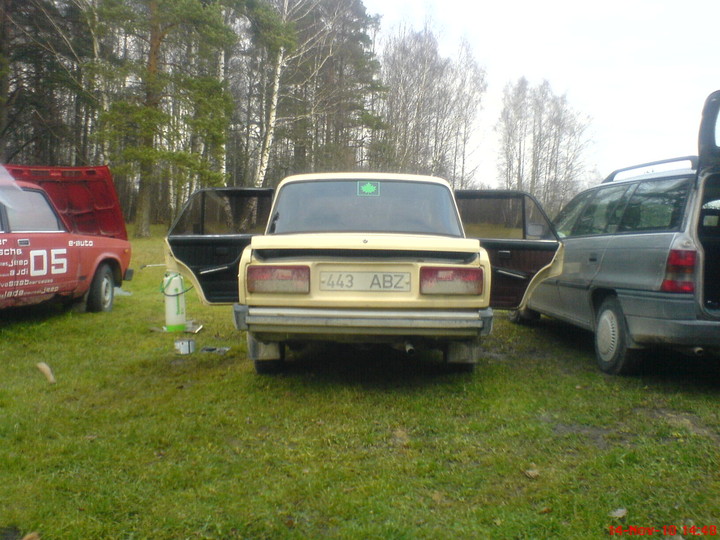 Pilt