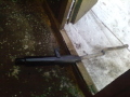 Pilt