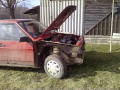 Pilt