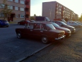 Pilt