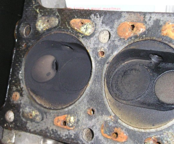 photo4.jpg