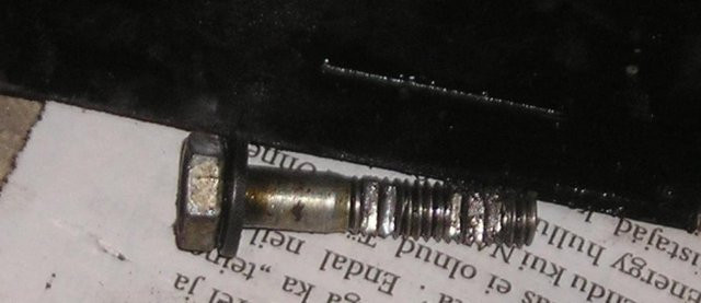 photo6.jpg
