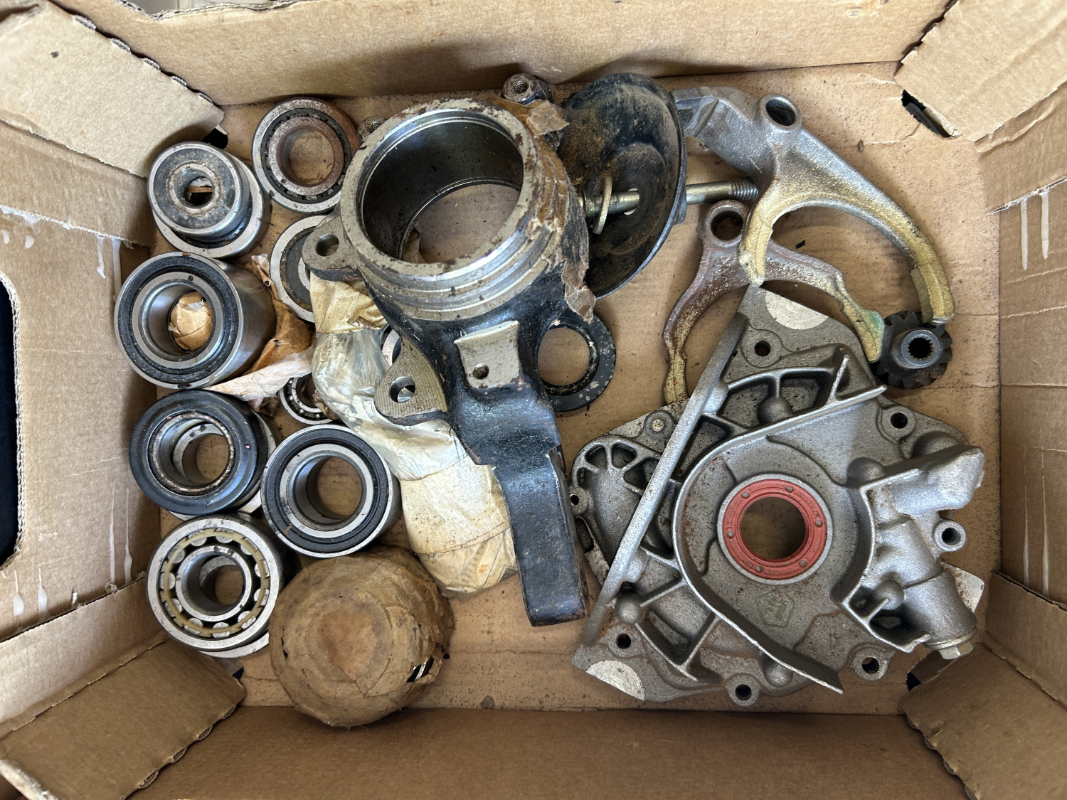 IMG_5685 - Copy.jpeg